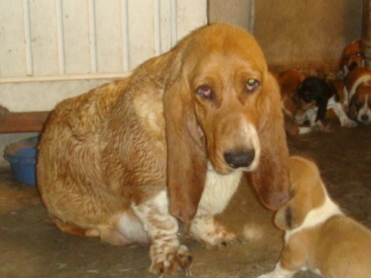 aqui con uno de sus bebes aqui con uno de sus bebes